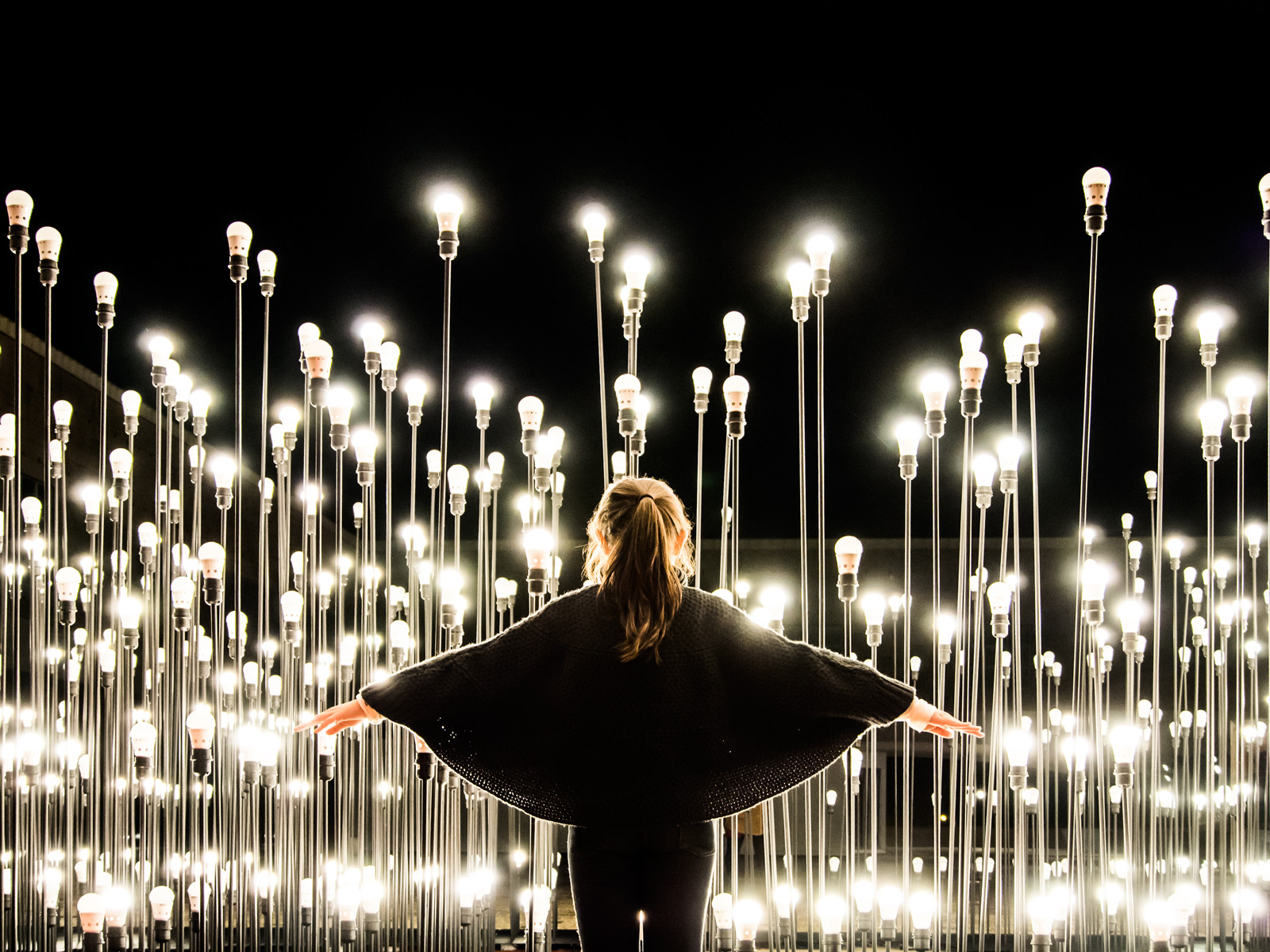 фото инсталляция из лампочек